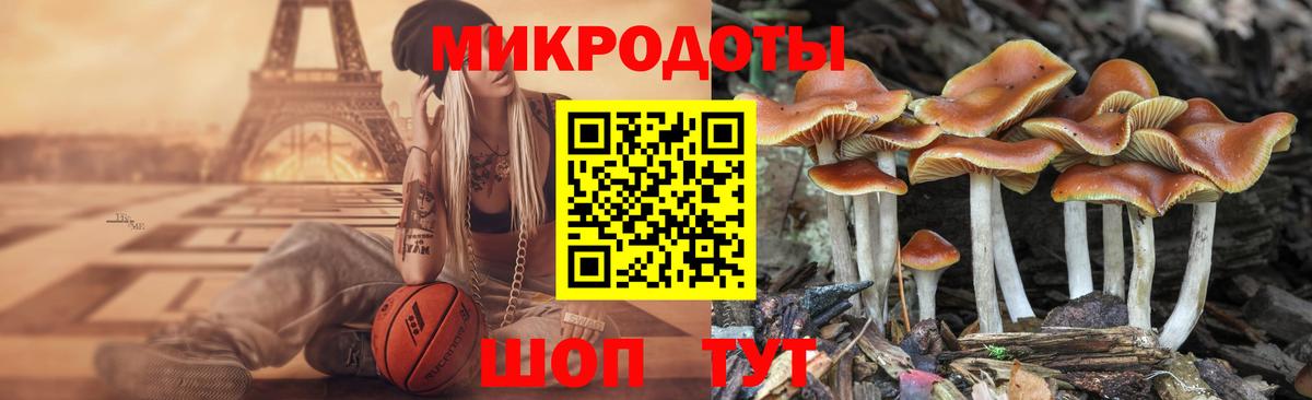 Галлюциногенные грибы MAGIC MUSHROOMS  магазин    Вход с VPN  Отрадное  Псилоцибиновые грибы ЛСД 